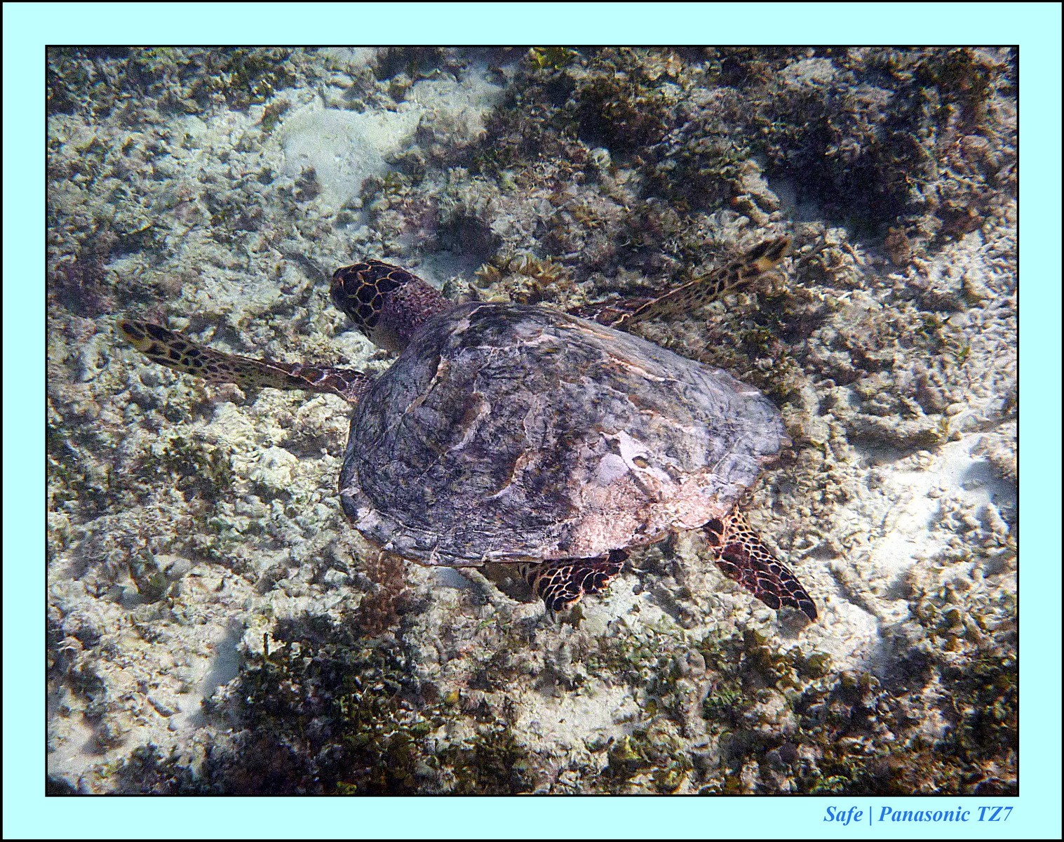 2012 - 07 - Gili - 85